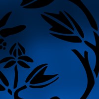 Портфолио Colin Muller